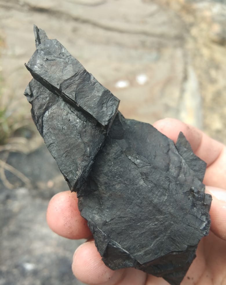 Coking Coal